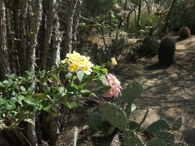 PICT0047.JPG