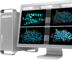 Pm Infoblock Graphics